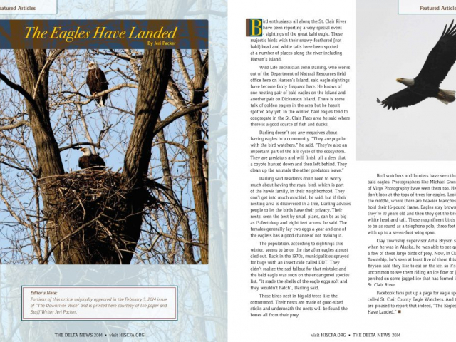 Delta News 2014 Article