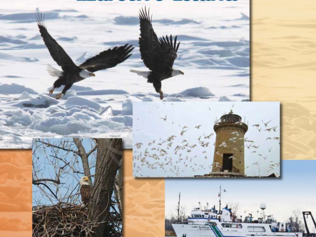 Delta News 2014 Cover